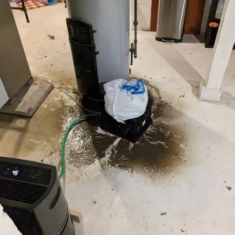 Sewage Backup Cleanup Service in Soperton, GA